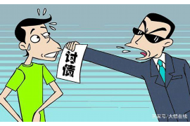 镇平债务清欠服务