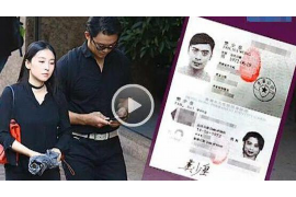 镇平企业清欠服务