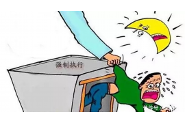 镇平工资清欠服务